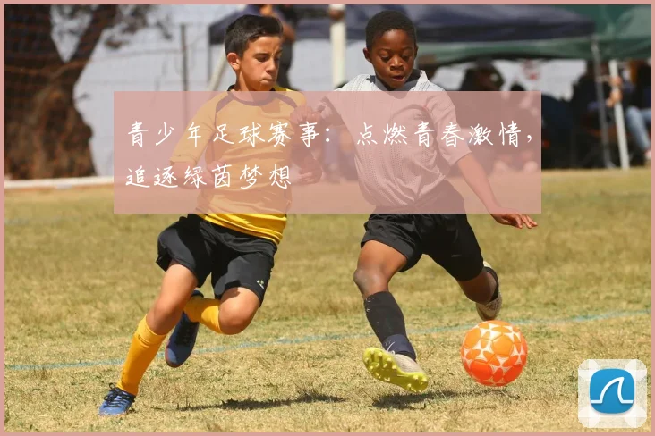 青少年足球赛事：点燃青春激情，追逐绿茵梦想